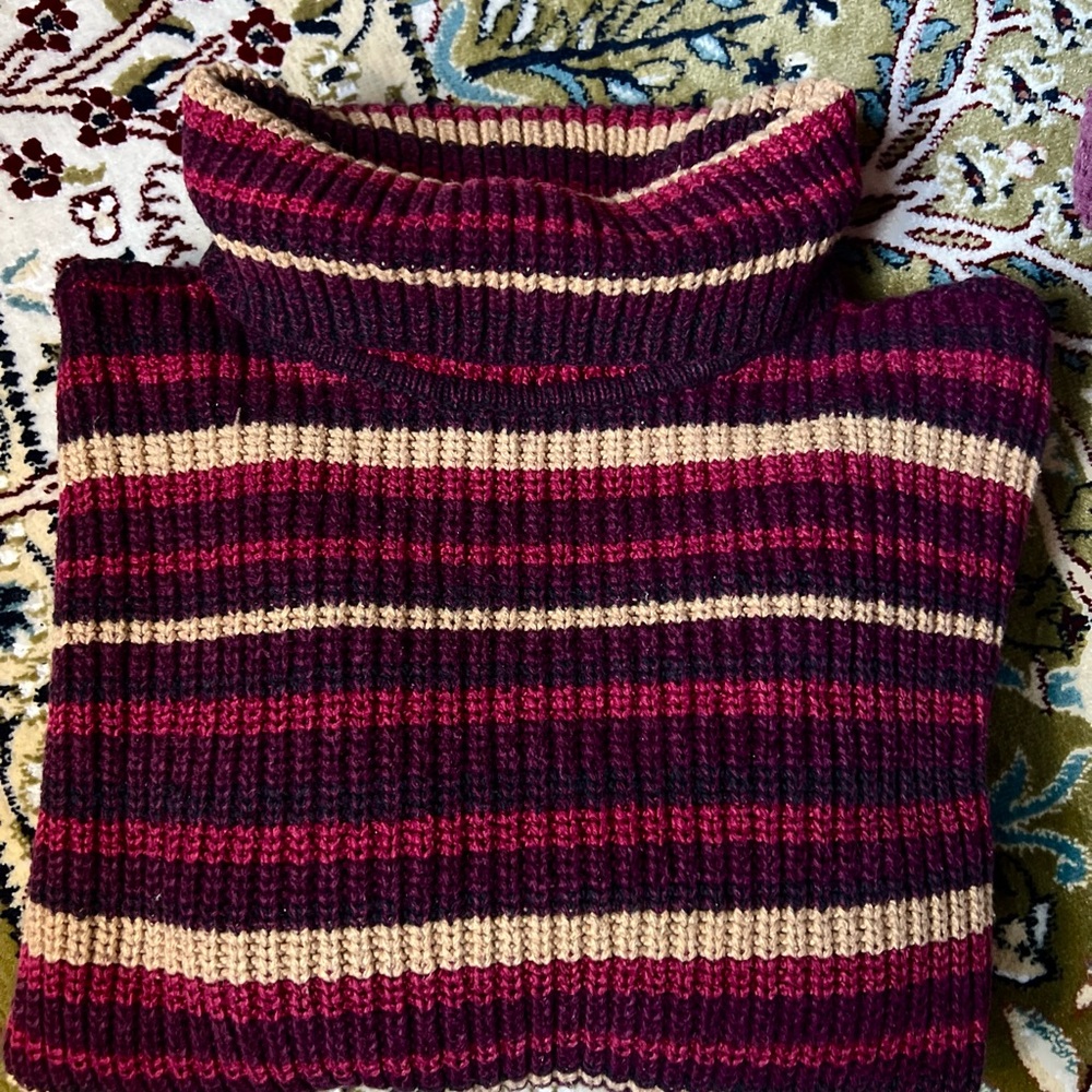 Liz Claiborne Burgundy and Beige Striped Turtleneck Sweater